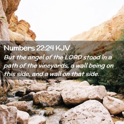 Numbers 22:24 KJV Free Bible Images