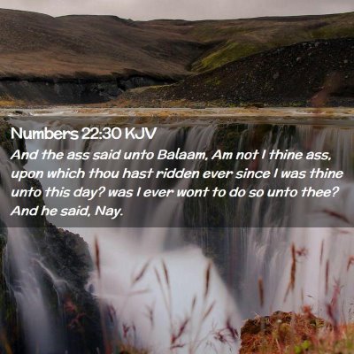 Numbers 22:30 KJV Free Bible Images