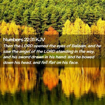 Numbers 22:31 KJV Free Bible Images