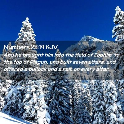 Numbers 23:14 KJV Free Bible Images