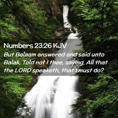 Numbers 23:26 KJV Free Bible Images