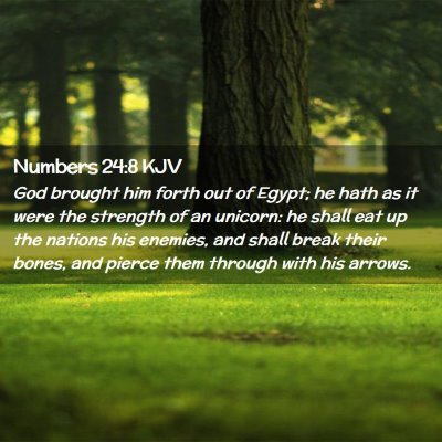 Numbers 24:8 KJV Free Bible Images