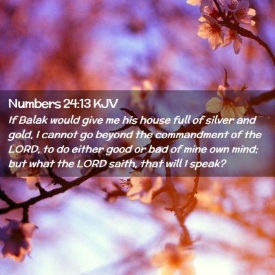 Numbers 24:13 KJV Free Bible Images