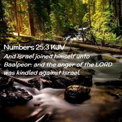 Numbers 25:3 KJV Free Bible Images