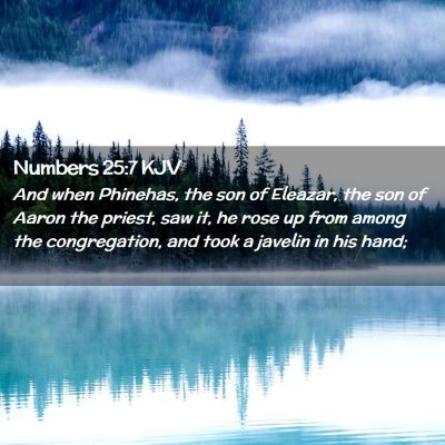 Numbers 25:7 KJV Free Bible Images