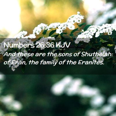 Numbers 26:36 KJV Free Bible Images