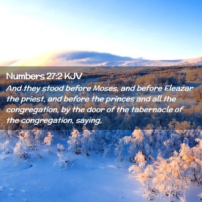 Numbers 27:2 KJV Free Bible Images