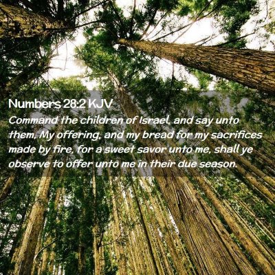 Numbers 28:2 KJV Free Bible Images