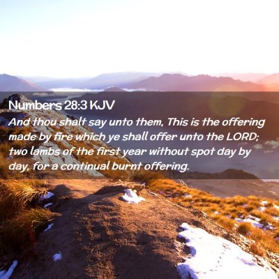 Numbers 28:3 KJV Free Bible Images