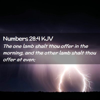 Numbers 28:4 KJV Free Bible Images