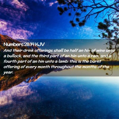 Numbers 28:14 KJV Free Bible Images