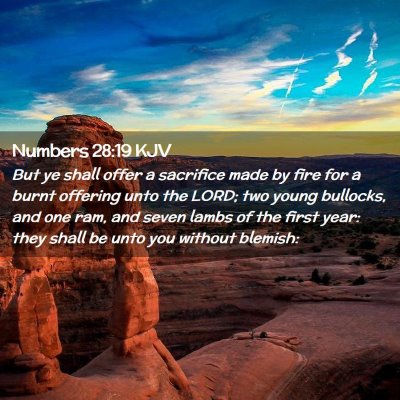 Numbers 28:19 KJV Free Bible Images