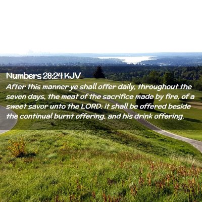 Numbers 28:24 KJV Free Bible Images