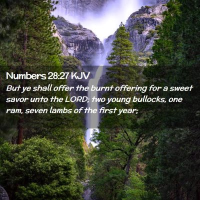 Numbers 28:27 KJV Free Bible Images