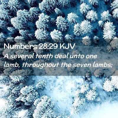 Numbers 28:29 KJV Free Bible Images