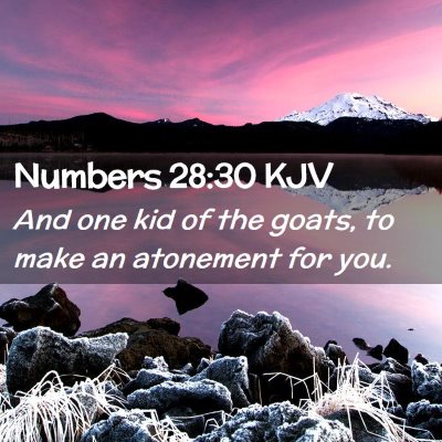 Numbers 28:30 KJV Free Bible Images