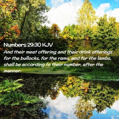 Numbers 29:30 KJV Free Bible Images