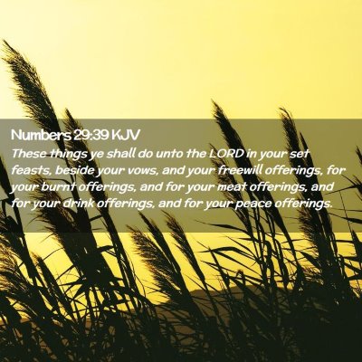 Numbers 29:39 KJV Free Bible Images