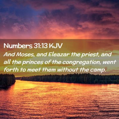 Numbers 31:13 KJV Free Bible Images