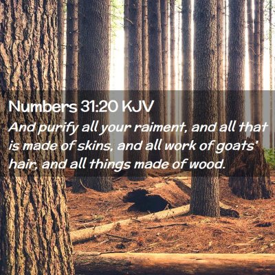 Numbers 31:20 KJV Free Bible Images