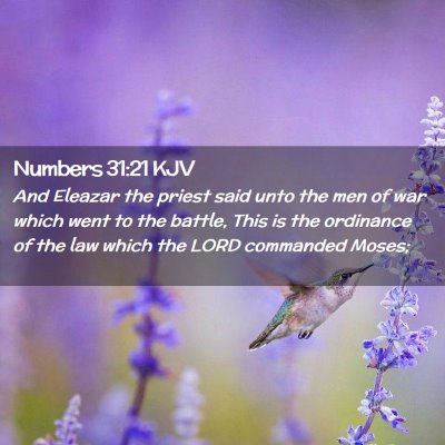 Numbers 31:21 KJV Free Bible Images