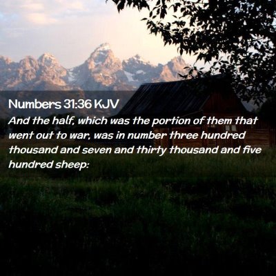 Numbers 31:36 KJV Free Bible Images