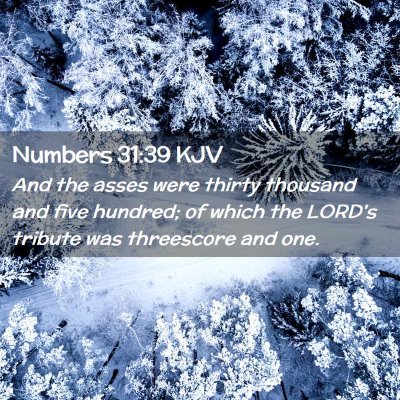 Numbers 31:39 KJV Free Bible Images