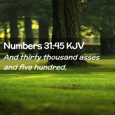 Numbers 31:45 KJV Free Bible Images