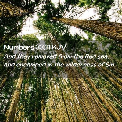 Numbers 33:11 KJV Free Bible Images