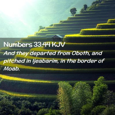 Numbers 33:44 KJV Free Bible Images