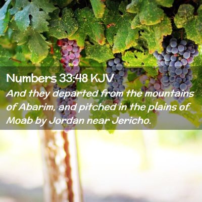 Numbers 33:48 KJV Free Bible Images