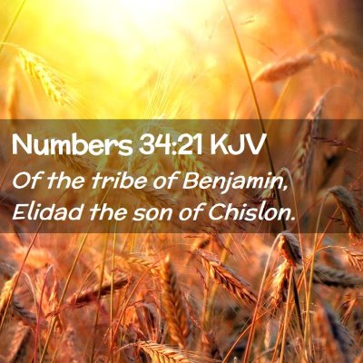 Numbers 34:21 KJV Free Bible Images