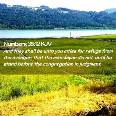 Numbers 35:12 KJV Free Bible Images