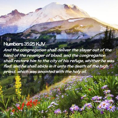 Numbers 35:25 KJV Free Bible Images