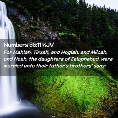 Numbers 36:11 KJV Free Bible Images