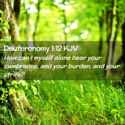 Deuteronomy 1:12 KJV Free Bible Images