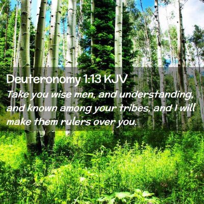 Deuteronomy 1:13 KJV Free Bible Images