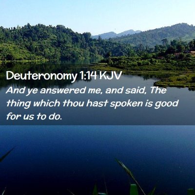 Deuteronomy 1:14 KJV Free Bible Images