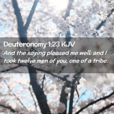 Deuteronomy 1:23 KJV Free Bible Images