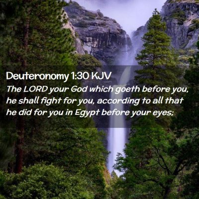 Deuteronomy 1:30 KJV Free Bible Images