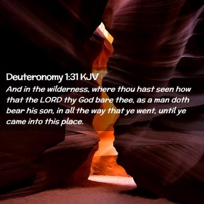 Deuteronomy 1:31 KJV Free Bible Images