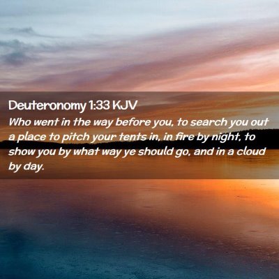 Deuteronomy 1:33 KJV Free Bible Images