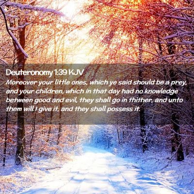 Deuteronomy 1:39 KJV Free Bible Images