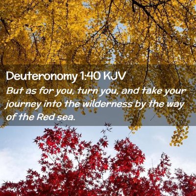 Deuteronomy 1:40 KJV Free Bible Images