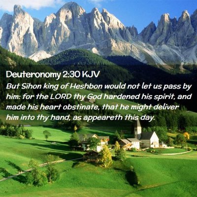 Deuteronomy 2:30 KJV Free Bible Images