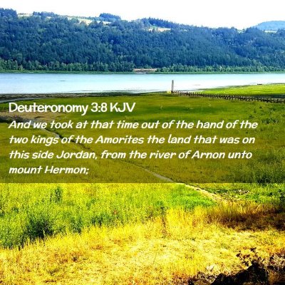 Deuteronomy 3:8 KJV Free Bible Images