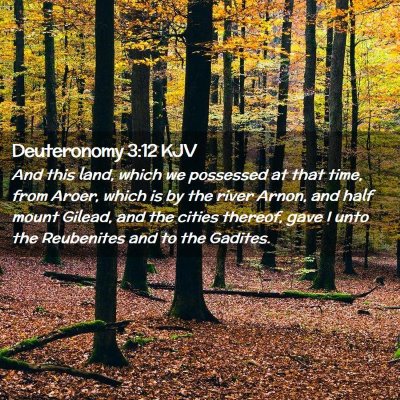 Deuteronomy 3:12 KJV Free Bible Images