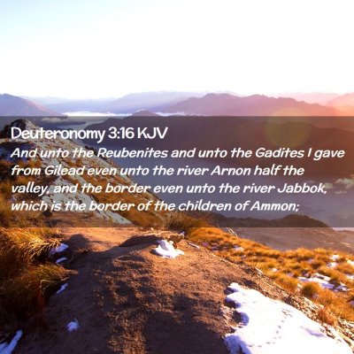 Deuteronomy 3:16 KJV Free Bible Images