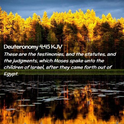 Deuteronomy 4:45 KJV Free Bible Images