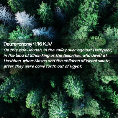 Deuteronomy 4:46 KJV Free Bible Images